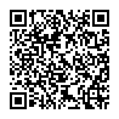 成功路大地坪送金店面-QR CODE