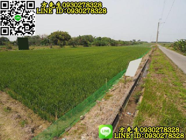 台南新化農地-3
