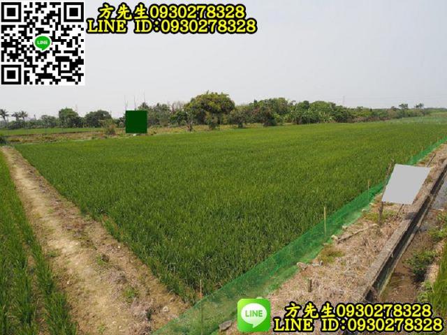 台南新化農地-4