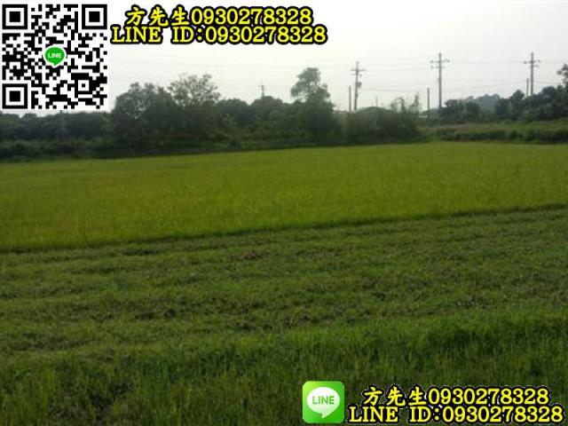新化農地-6