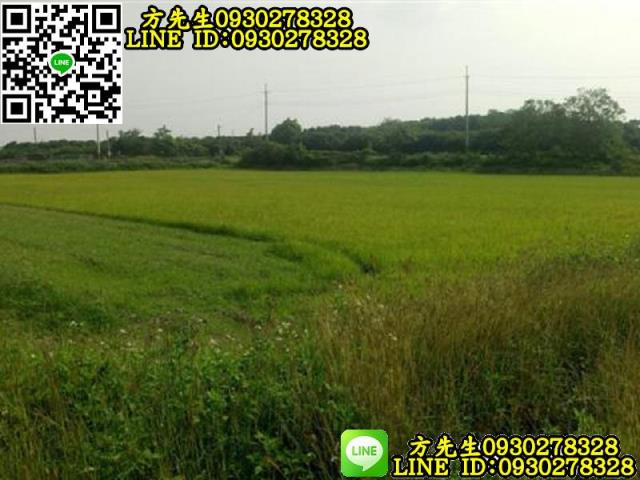 新化農地-8