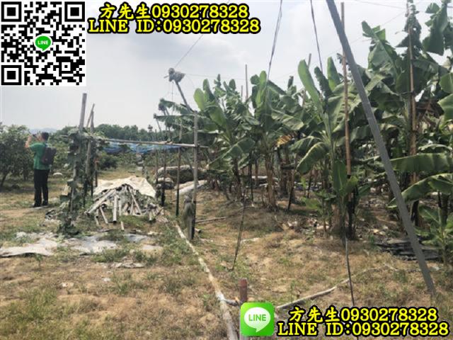 玉井農地-1