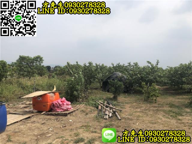 玉井農地-3