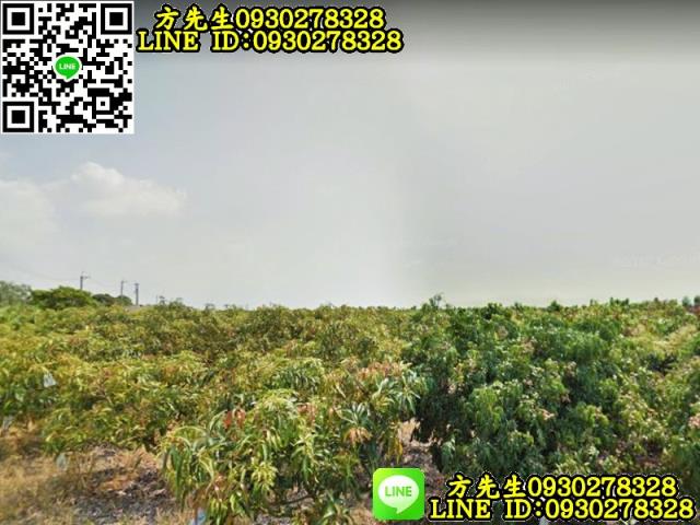 台南官田農地-5
