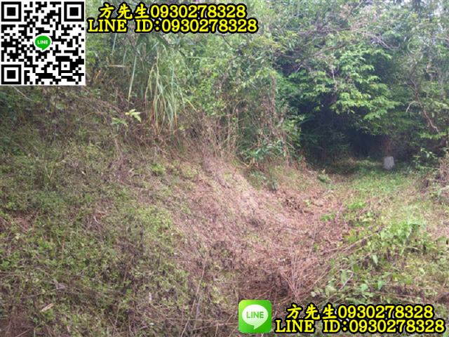 關廟農地-2