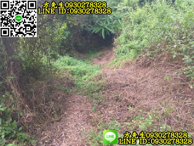 關廟農地-5