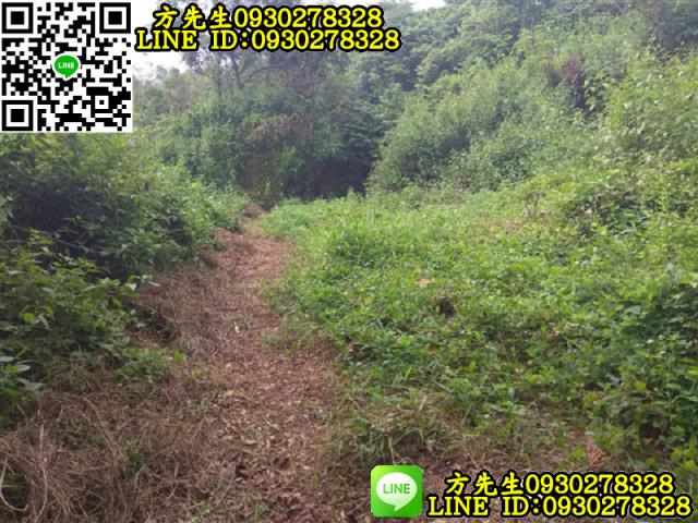 關廟農地-6