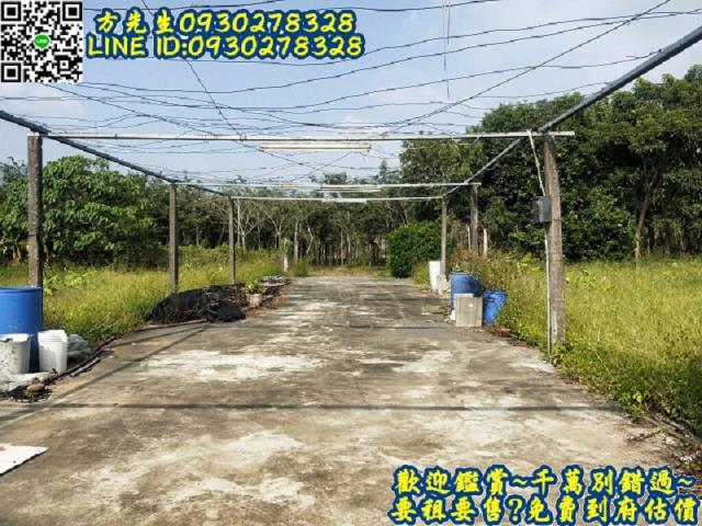 楠西農地-9