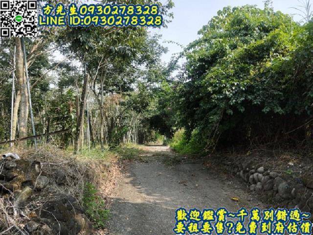楠西農地-2