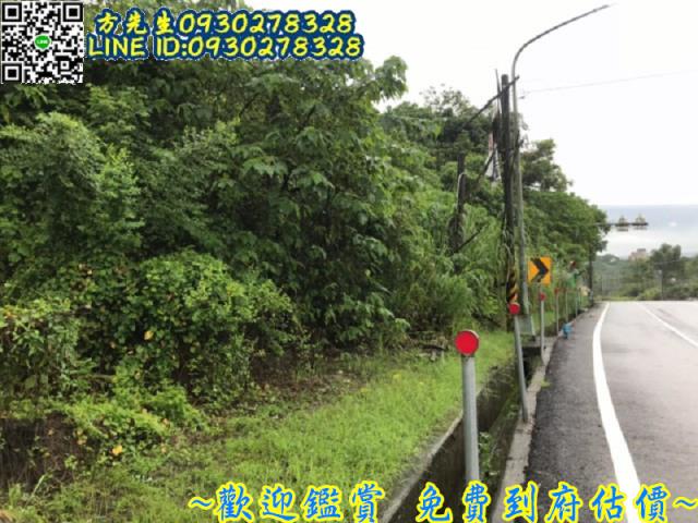 台南農地-4