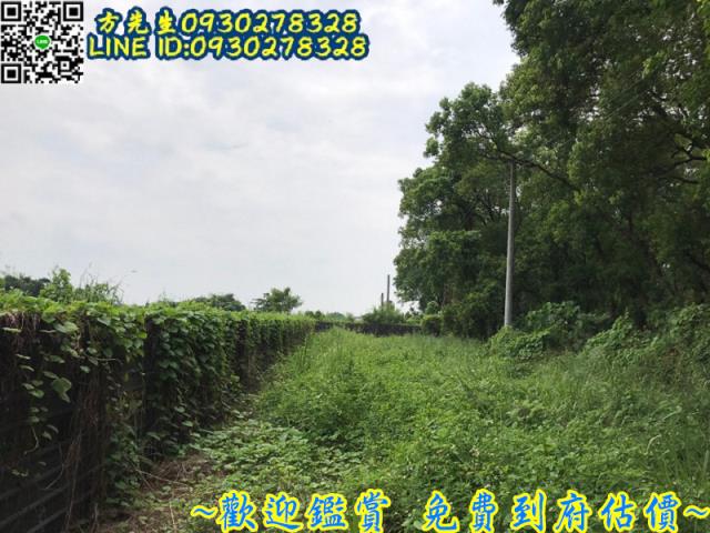 台南官田農地-2