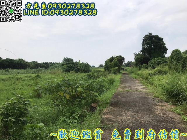 台南官田農地-3