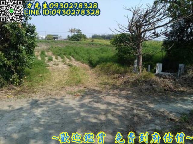 台南將軍農地-6