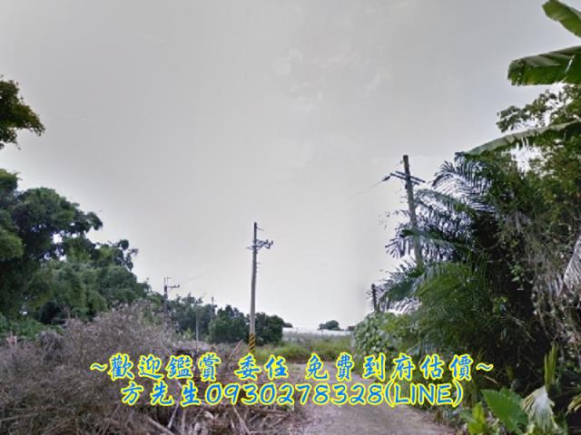 玉井農地-1