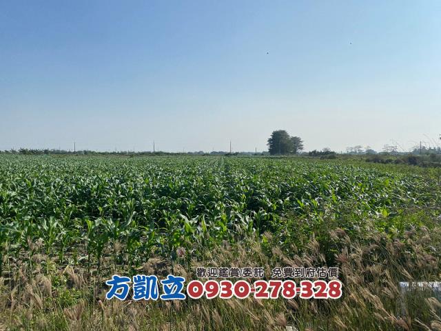 台南佳里農地-5