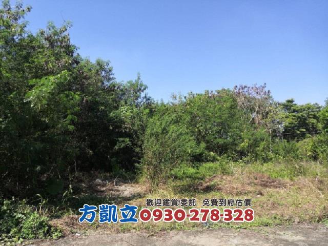 台南丙種建築用地-4