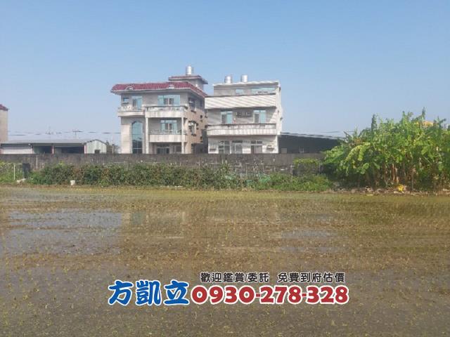 歸仁農地-9