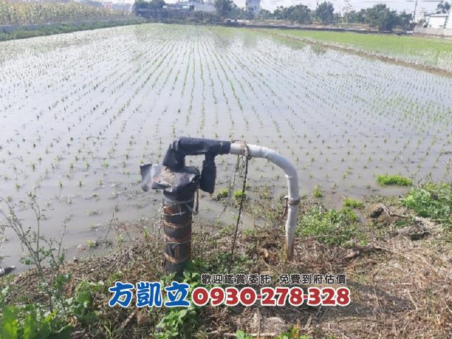 歸仁農地-2