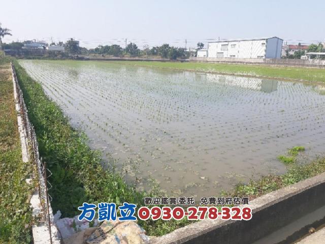 歸仁農地-4