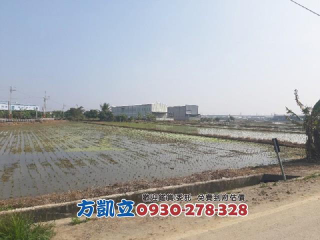 歸仁農地-5