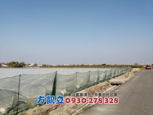 學甲農地-2