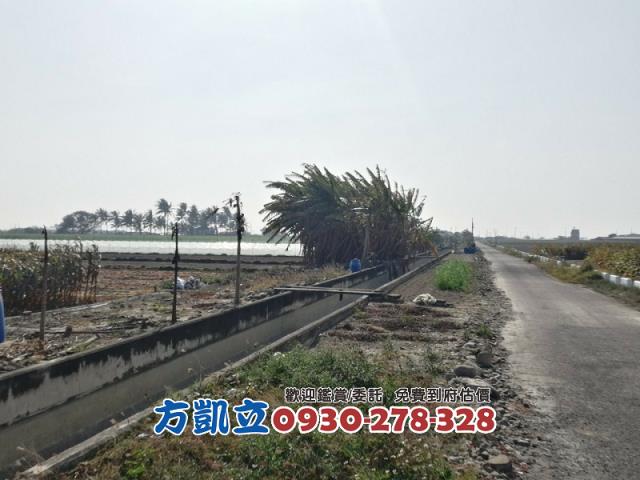 學甲農地-5