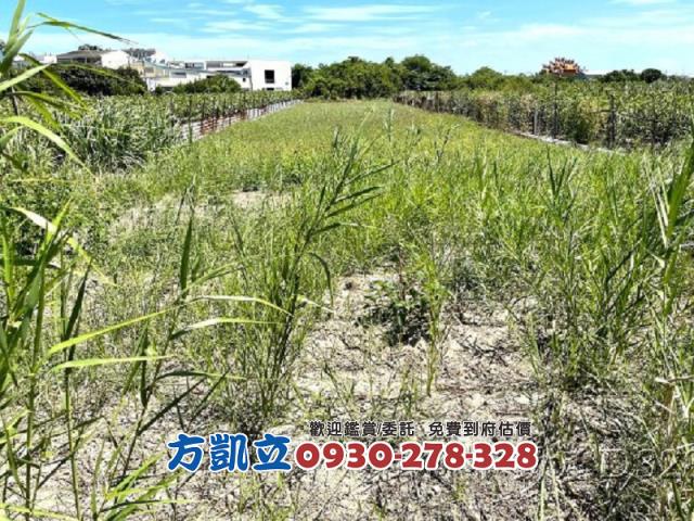 台南安南農地-2