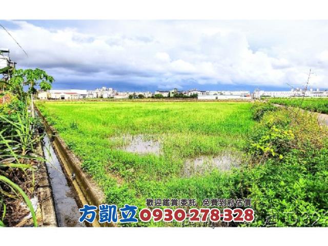台南農地-5