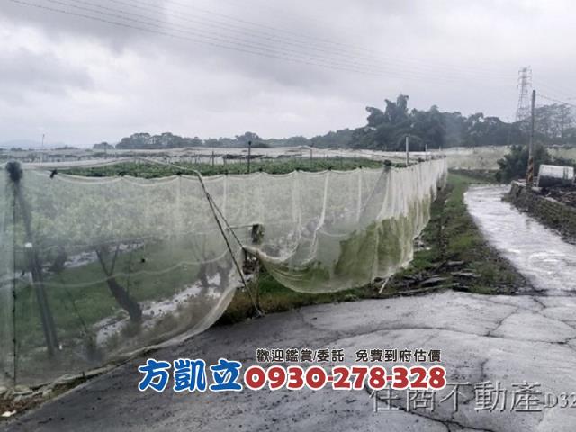 台南玉井農地-4