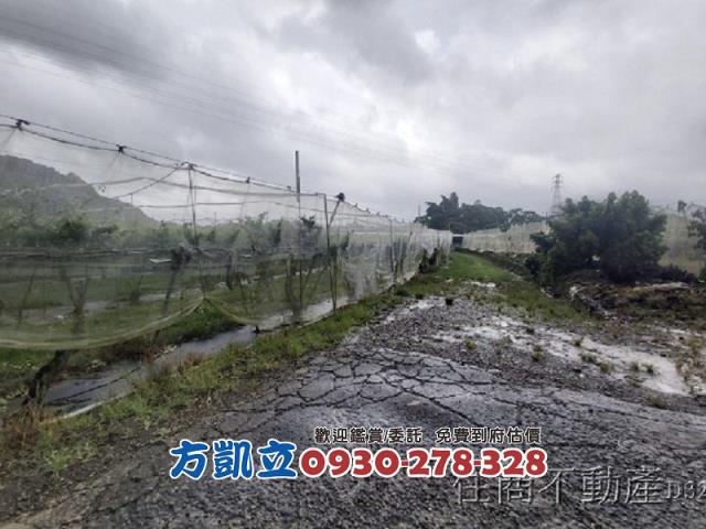 台南玉井農地-8