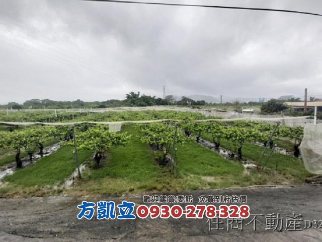 台南玉井農地-0