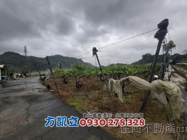 台南玉井農地-2