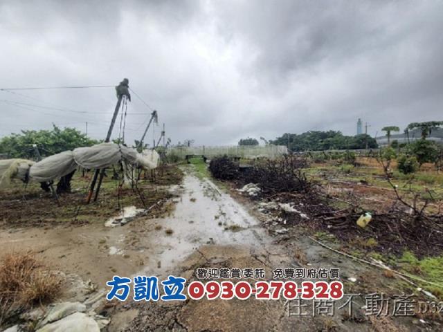 台南玉井農地-4