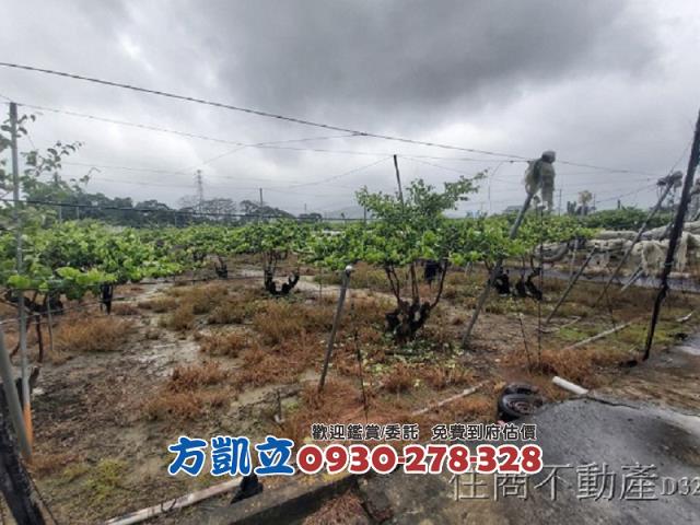 台南玉井農地-5