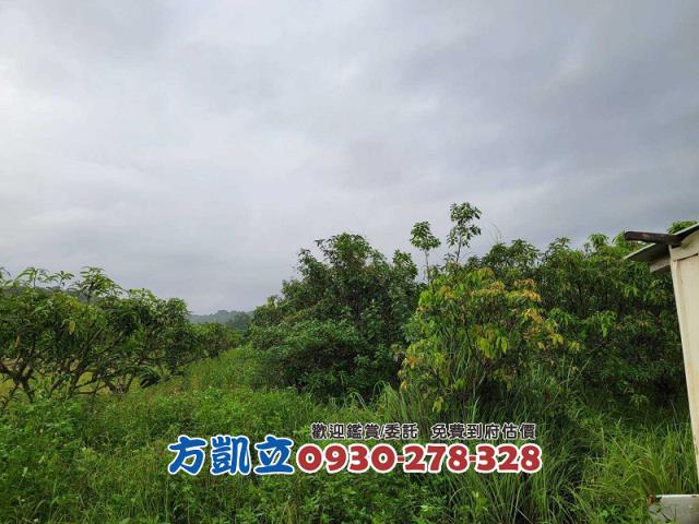 台南農地-1