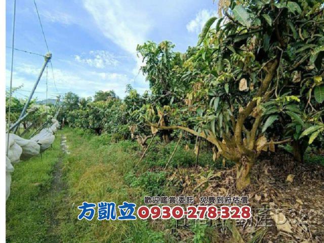 台南玉井農地-1