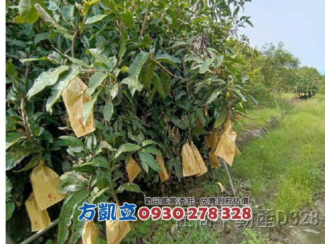 台南玉井農地-2