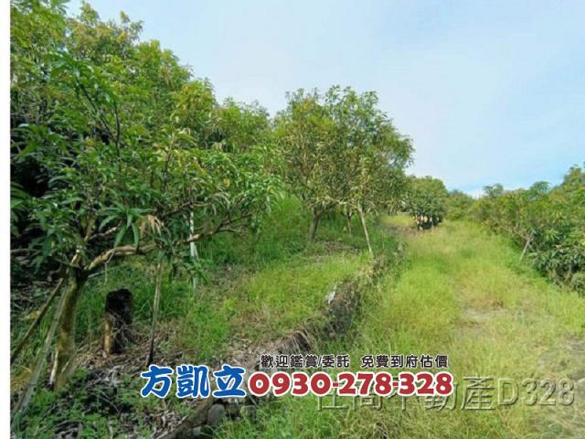 台南玉井農地-3