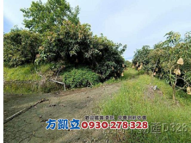 台南玉井農地-4