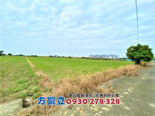 台南善化農地-0