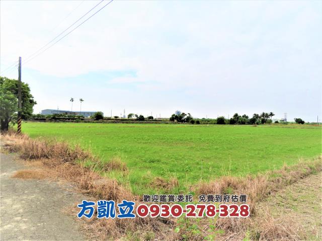 台南善化農地-0