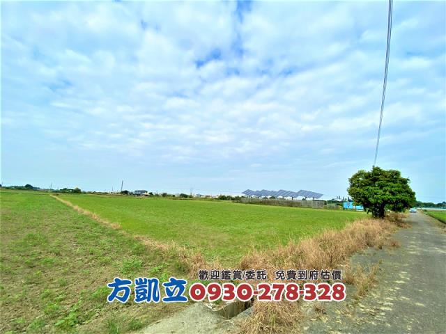 台南善化農地-1