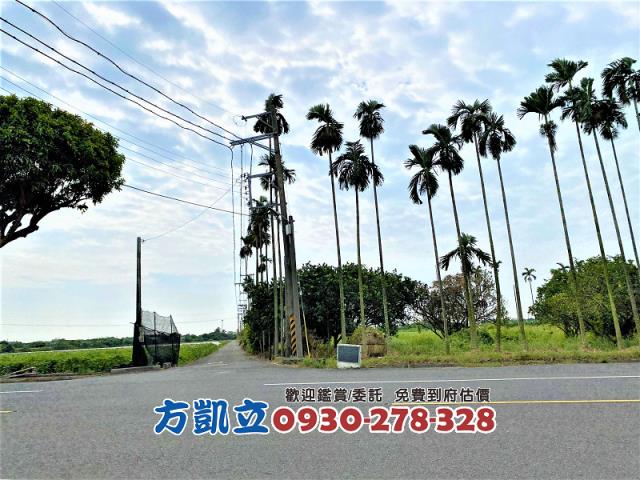 善化農地-5