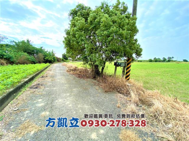 善化農地-7