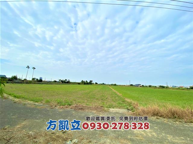 善化農地-8