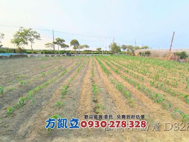 麻豆農地-1