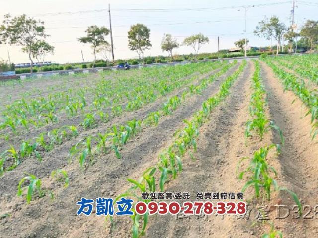 麻豆農地-2