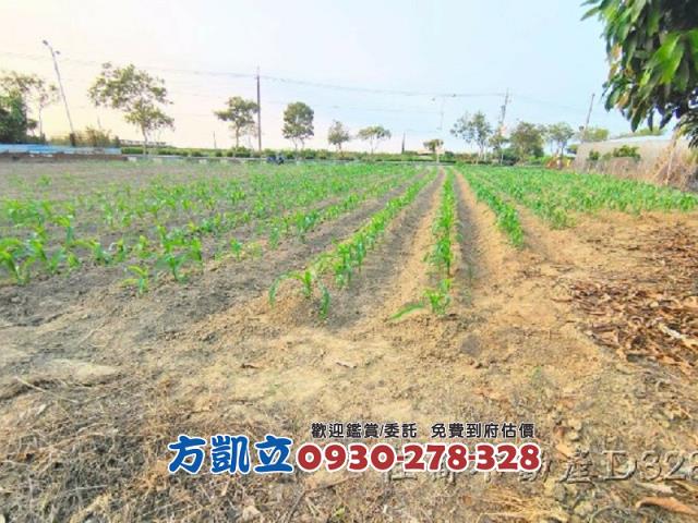 麻豆農地-3