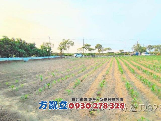麻豆農地-4
