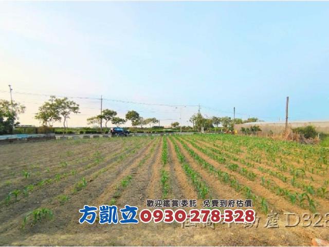 麻豆農地-5